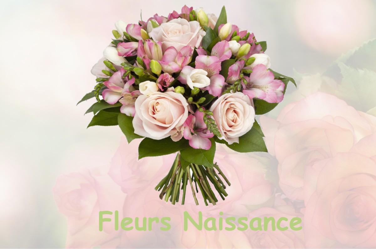 fleurs naissance INGRE